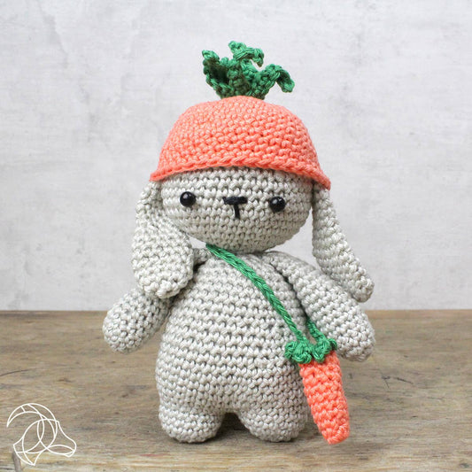 DIY Crochet Kit - Frank Rabbit Handicraft