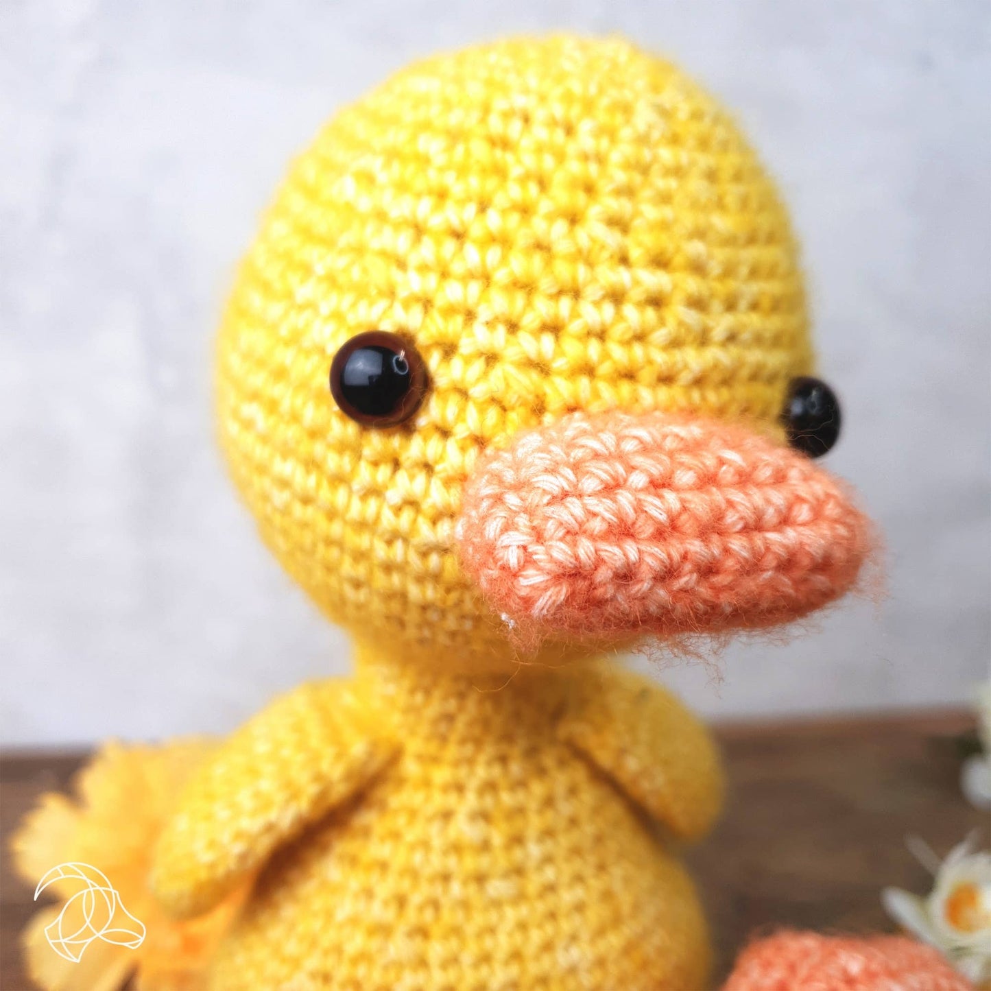 DIY Crochet Kit - Abby Duck